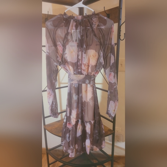 Floral Sheer Long Sleeve Dress - Picture 4 of 8